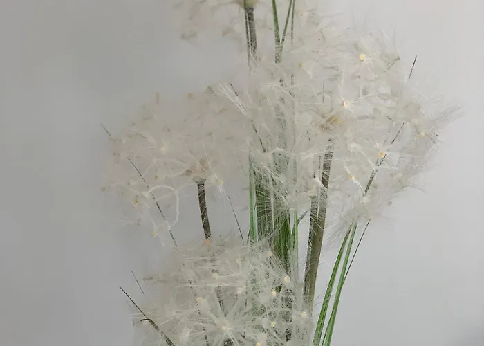 Homestay Haus Am Pfingstborn